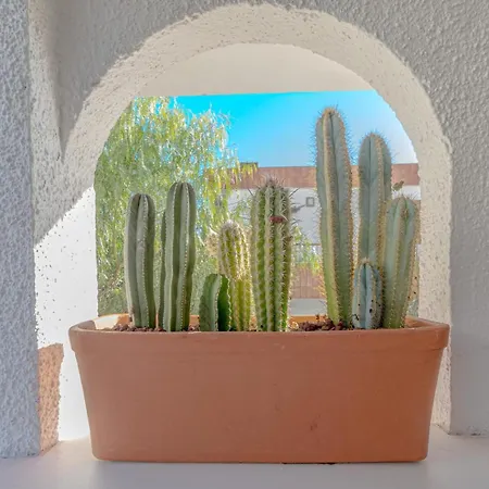 Lägenhet Blue Horizon By Dream Homes Tenerife *