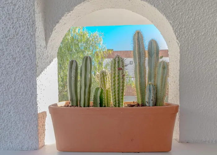 Lägenhet Blue Horizon By Dream Homes Tenerife *